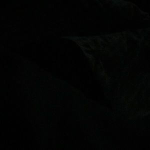 Meet your Posher, Jake